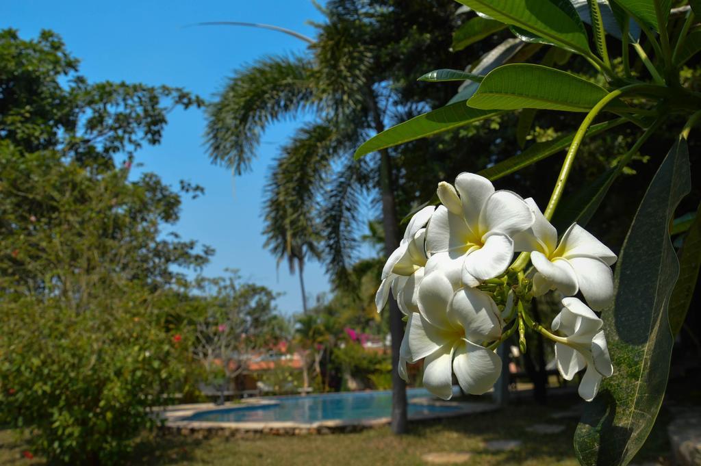 קפ Le Flamboyant Resort מראה חיצוני תמונה